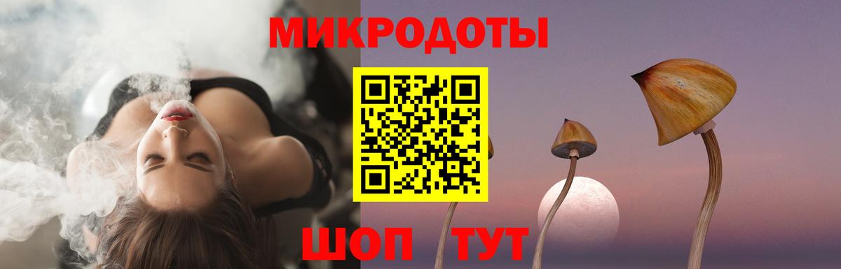Галлюциногенные грибы Cubensis  Вход с VPN  Гусев 
